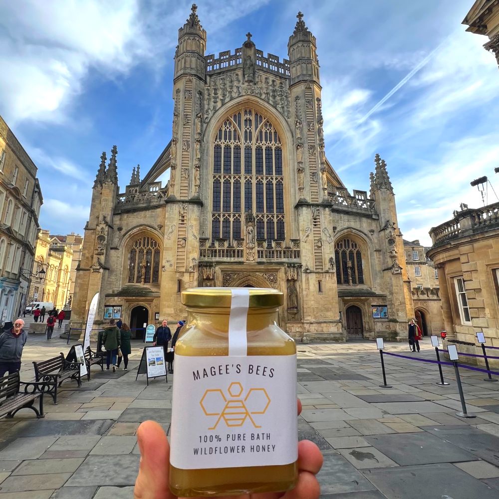 Magee's Wildflower Local Honey🍯