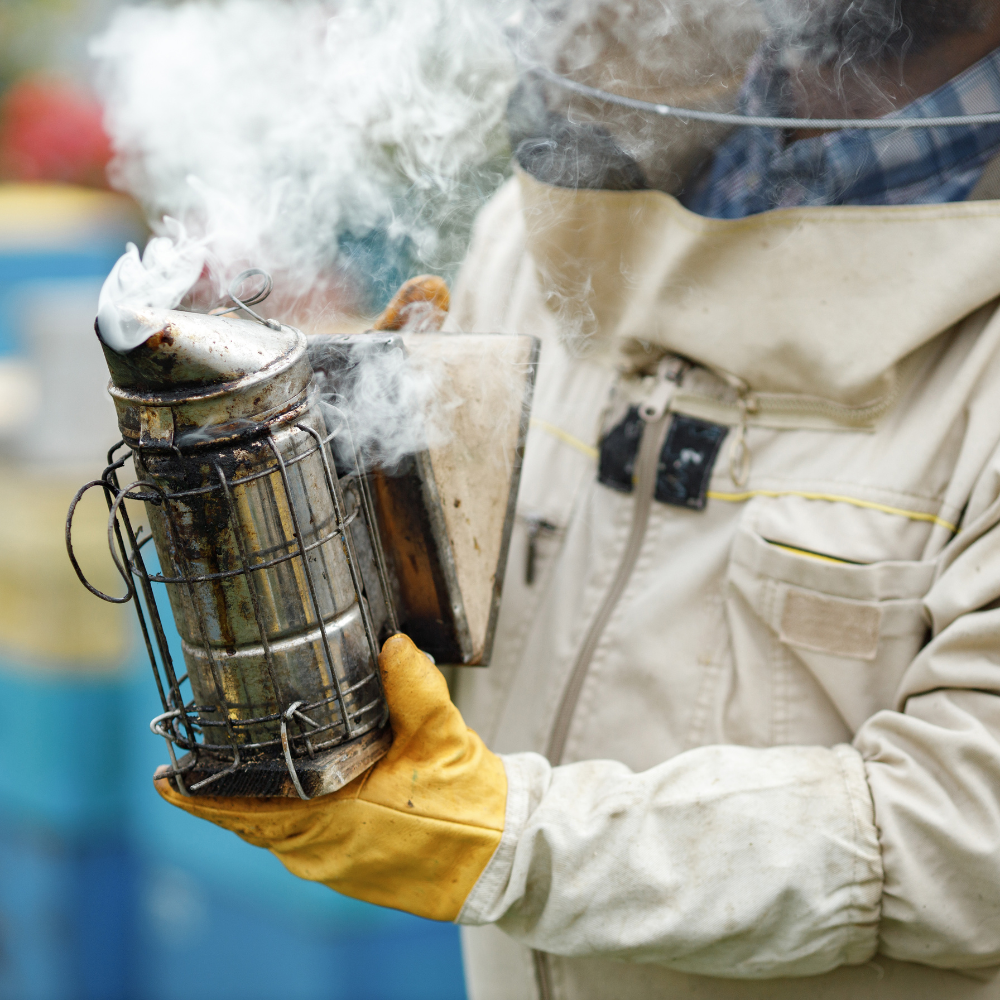 Beekeeping Experience Day in Bath