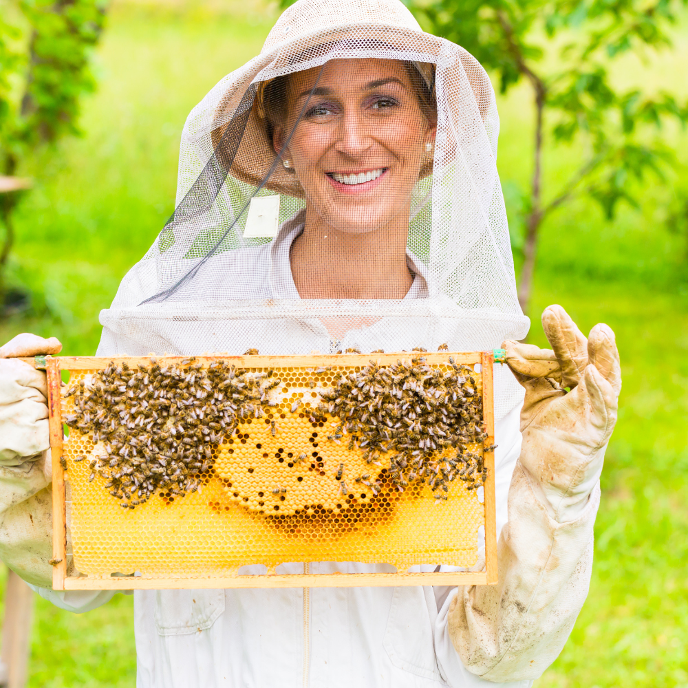 Beekeeping Experience Day in Bath