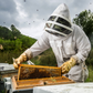 Beekeeping Experience Day in Bath